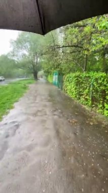 Sokakta yürüyen kişi perspektifi şemsiye altında şiddetli bahar yağmuru altında