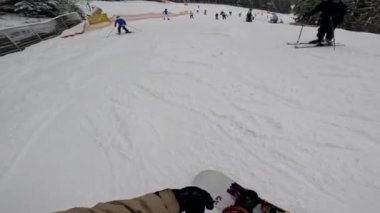 Bir snowboardcu karlı bir yamaçtan aşağı iniyor, ağaçlar kenarlarını kaplıyor..