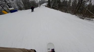 Bir snowboardcu karlı bir yamaçtan aşağı iniyor, ağaçlar kenarlarını kaplıyor..