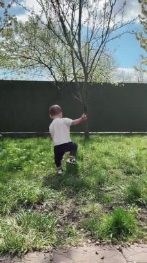 Mutlu Yürüyen Bebek Güneşli Arka Bahçede Yürüyor