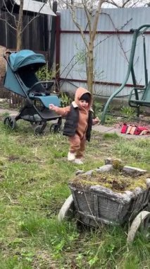 Bebekler bahar günü bahçeyi keşfediyorlar.