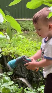 Yaz mevsiminde Çocuk Sulama Bitkileri