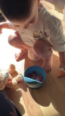 Çocuk Oyuncak ve Oyuncak Oyuncak Oyuncak Oyuncak.