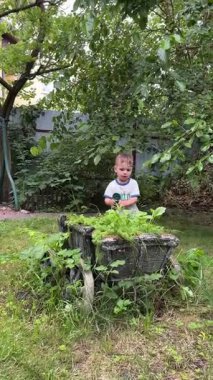 Yaz mevsiminde Çocuk Sulama Bitkileri