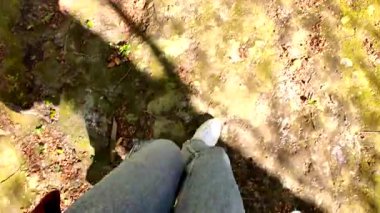 Sunlit Mossy Ground POV 'de Yürüyorum