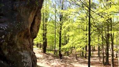 Yay yapraklı ağaçlarla çevrili kaya oluşumu.