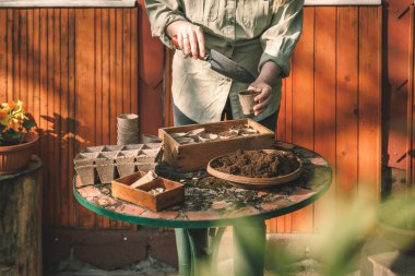 Kürekli bir kadın, toprak ve gübreyi ayrıştırılabilir turba saksılarına koyuyor. İlkbaharda ekme ve ekme