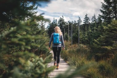 Sırt çantalı bir kadın turist dağ ormanlarındaki tahta patikada yürüyüş yapıyor. Yeşil ormanlık alanda yürüyen kadın yürüyüşçünün arka görüntüsü