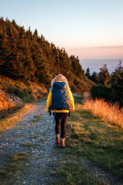 Sonbaharda gün batımında sırt çantalı bir kadın dağ yolunda yürüyüş yapıyor. Dağlarda yürüyüş yapan kadın yürüyüşçü.