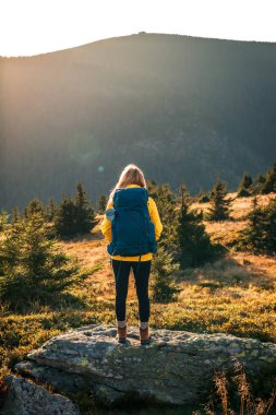 Yokuş yukarı uzun bir yolculuk. Dağda yürüyüş. Sırt çantalı kadın Jeseniky dağlarında yürüyüş yapıyor.