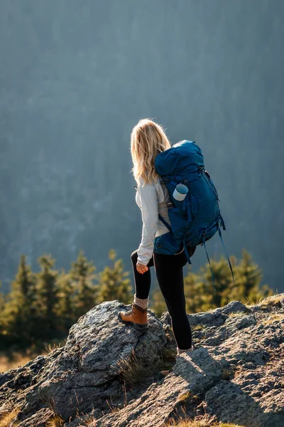Sırt çantalı bir kadın dağ zirvesinde duruyor ve vadiye bakıyor. Turist dağları doğada tırmanıyor