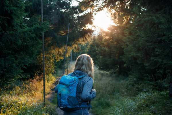 Twilight in woodland is fast. Woman with backpack hiking in forest on mountain trekking trail