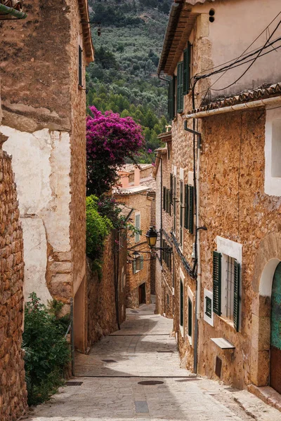 stock image Traditional mountain village Fornalutx in Mallorca. Typical street in a Spanish old town with stone buildings and potted plant