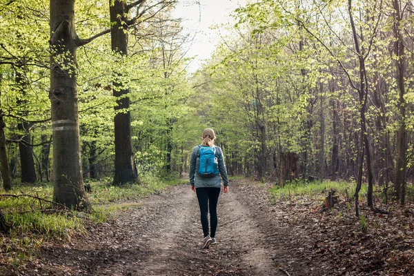Ormanda yürüyüş. Ormanda yürüyen sırt çantalı bir kadın.
