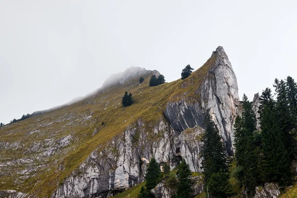 Spinnerin ve Schafberg dağlarının zirvesi bulutlarda. Alp dağları. Yürüyüş treninden görüntü