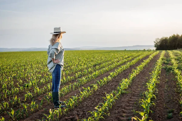 Spokojené Farmářky Dívají Kukuřičné Pole Obdělávané Půdě Žena Slamákem Stojící — Stock fotografie