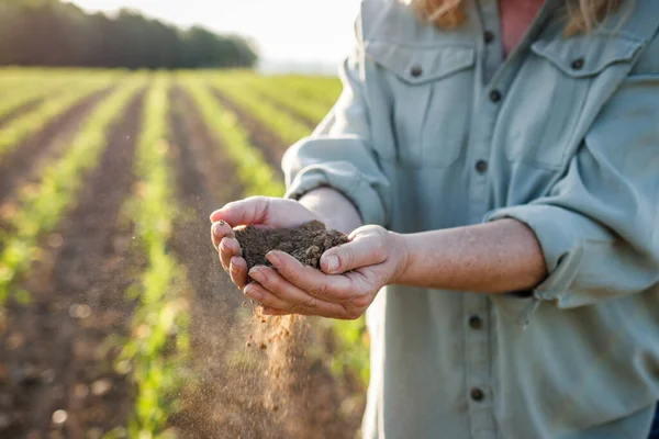 Farmář Drží Suchou Půdu Rukou Kontroluje Kvalitu Úrodnosti Poli Zemědělské — Stock fotografie