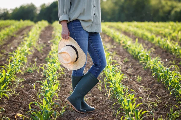 Γυναίκα Αγρότης Λαστιχένια Μπότα Και Ψάθινο Καπέλο Στέκεται Στο Χωράφι — Φωτογραφία Αρχείου