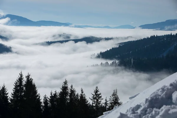 冬のウクライナのカルパチア山脈の風景 ブコヴェル — ストック写真