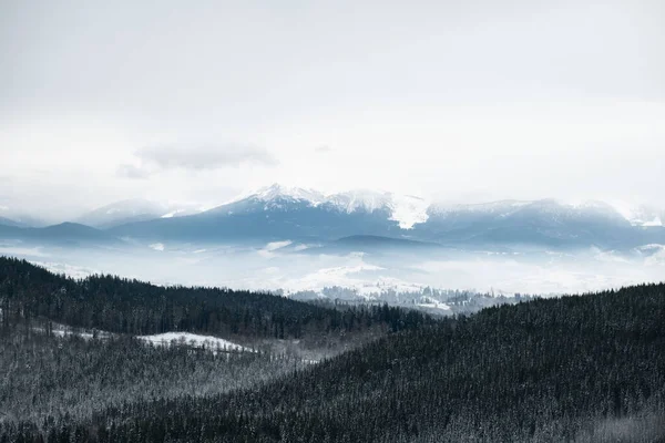 Krajina Pohled Zimní Ukrajinské Karpatské Hory Bukovel — Stock fotografie