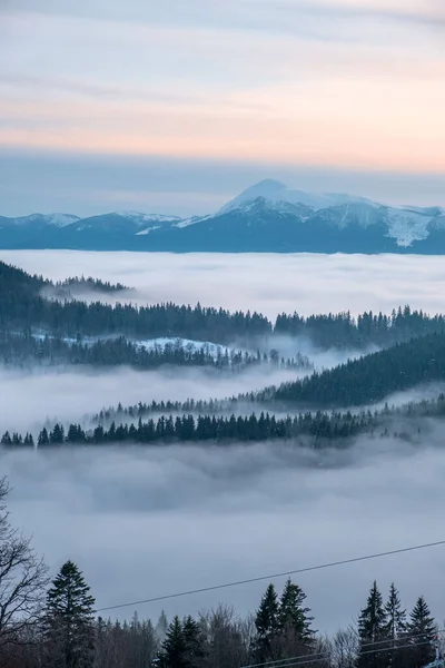 Landscape View Winter Ukraine Carpathian Mountains Bukovel — Fotografia de Stock