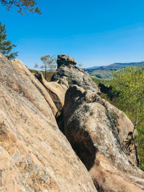 Yaz güneşli bir günde Ukrayna 'yı sarsıyor.