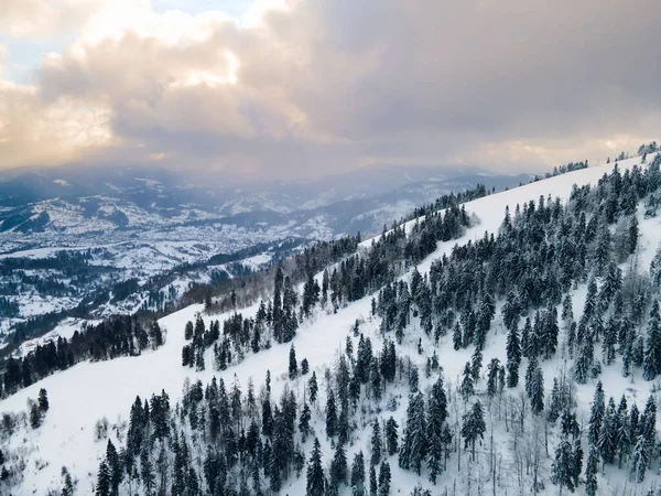 Vue Aérienne Paysage Hivernal Des Montagnes Des Carpates — Photo