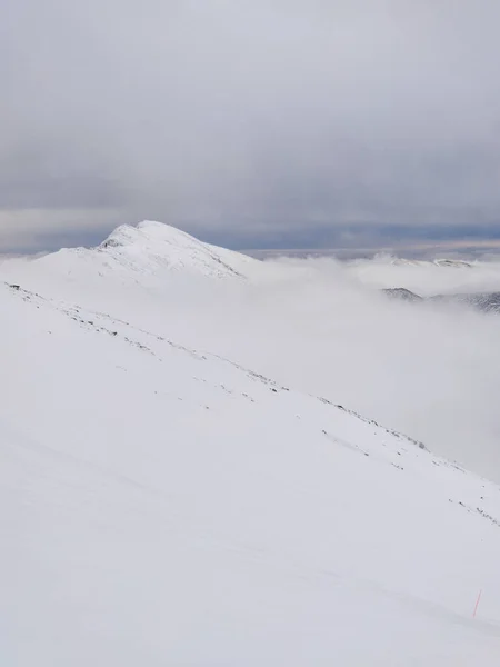 슬로바키아에 눈덮인 산맥의 — 스톡 사진