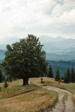 woman in red dress near large old beech tree with lush green leaves in Carpathian mountains in summer time. Landscape