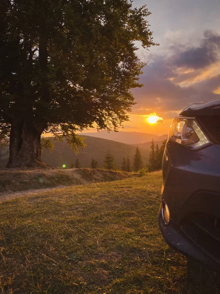 Gray Car Big Old Beech Tree Carpathians Mountains Sunset — Φωτογραφία Αρχείου