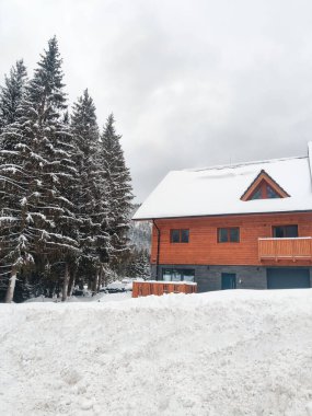 Karlı dağlardaki ahşap ev çam ağacı ormanı