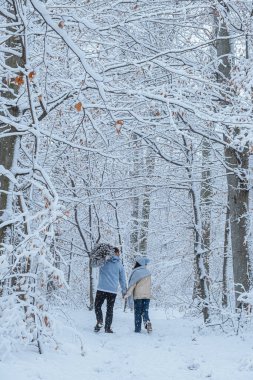 İnsanın omzunda, karla kaplı Noel ağacı duruyor. Çift kışın ormanda yürür.