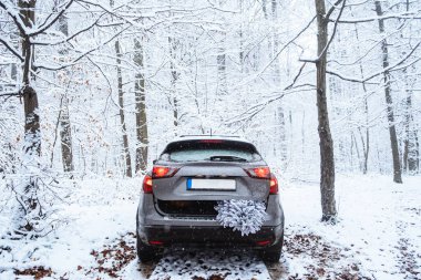 Arabanın bagajında karlı bir Noel ağacı var.