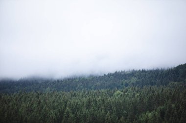 mountain in the cloud. morning time