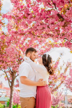 Sakura ağacının çiçek açtığı bahar mevsimi