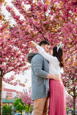 Sakura ağacının çiçek açtığı bahar mevsimi
