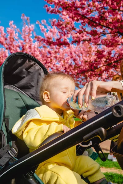 Bebê Está Desfrutando Bebida Refrescante Seu Carrinho — Fotografia de Stock
