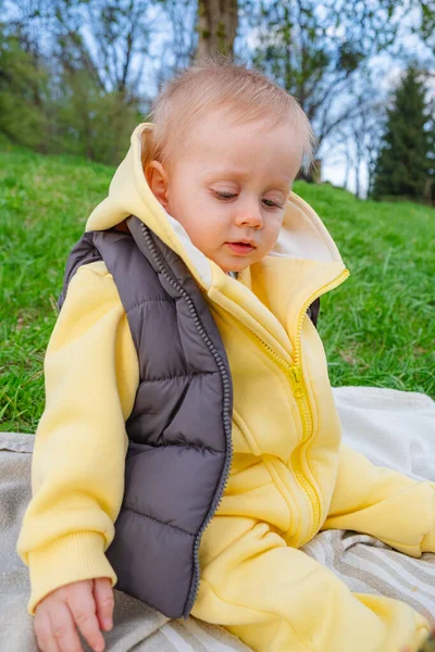 Smiling Little Boy Sitting Blanket Green Lawn Spring Park — Stock Photo, Image
