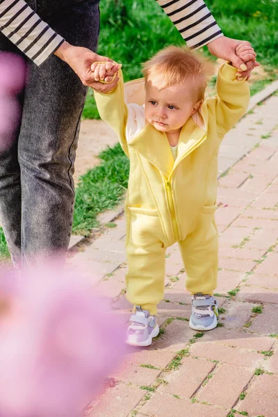 Junge Lernt Laufen Und Hält Die Hände Seiner Mutter — Stockfoto