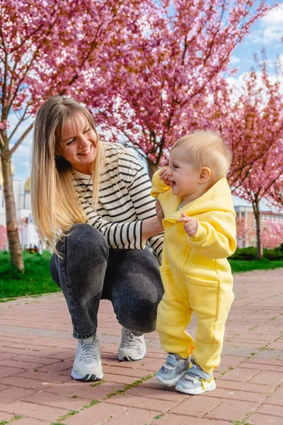 Mom Teaching Baby Walk Surrounded Cherry Blossoms — Stock Photo, Image