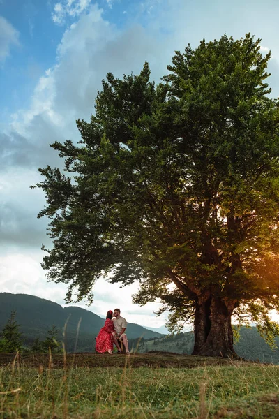 a couple sits on a bench by a big old beech tree with a view of the carpathians mountains