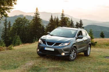 gray car near a big old beech tree in the carpathians mountains at sunset