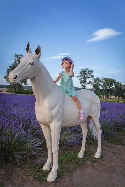 Smiling Girl Sits Decorative Horse Middle Lavender Field — Stock Photo, Image
