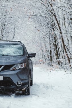 Gri arabasıyla kış ormanlarında karlı bir yol.