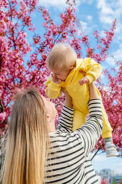 Motherhood Joy Captured Beautiful Sakura Tree — Stock Photo, Image