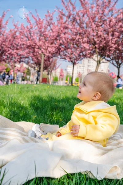 Adorable Baby Enjoying Sakura Blossoms Sunny Day — Stock Photo, Image