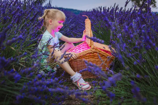 Its Lavender Field Basket Girl Looks She Sees Magical World — Stock Photo, Image