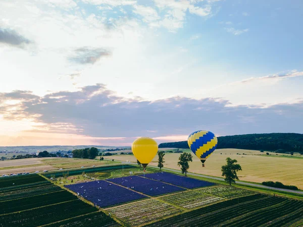 Luftballon Mit Korb Über Lavendelfeld Kopierraum — Stockfoto