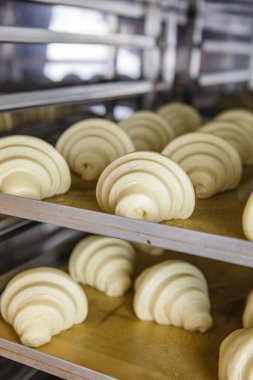 Önceden hazırlanmış kruvasan hamuru.