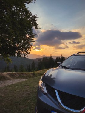 gray car near a big old beech tree in the carpathians mountains at sunset
